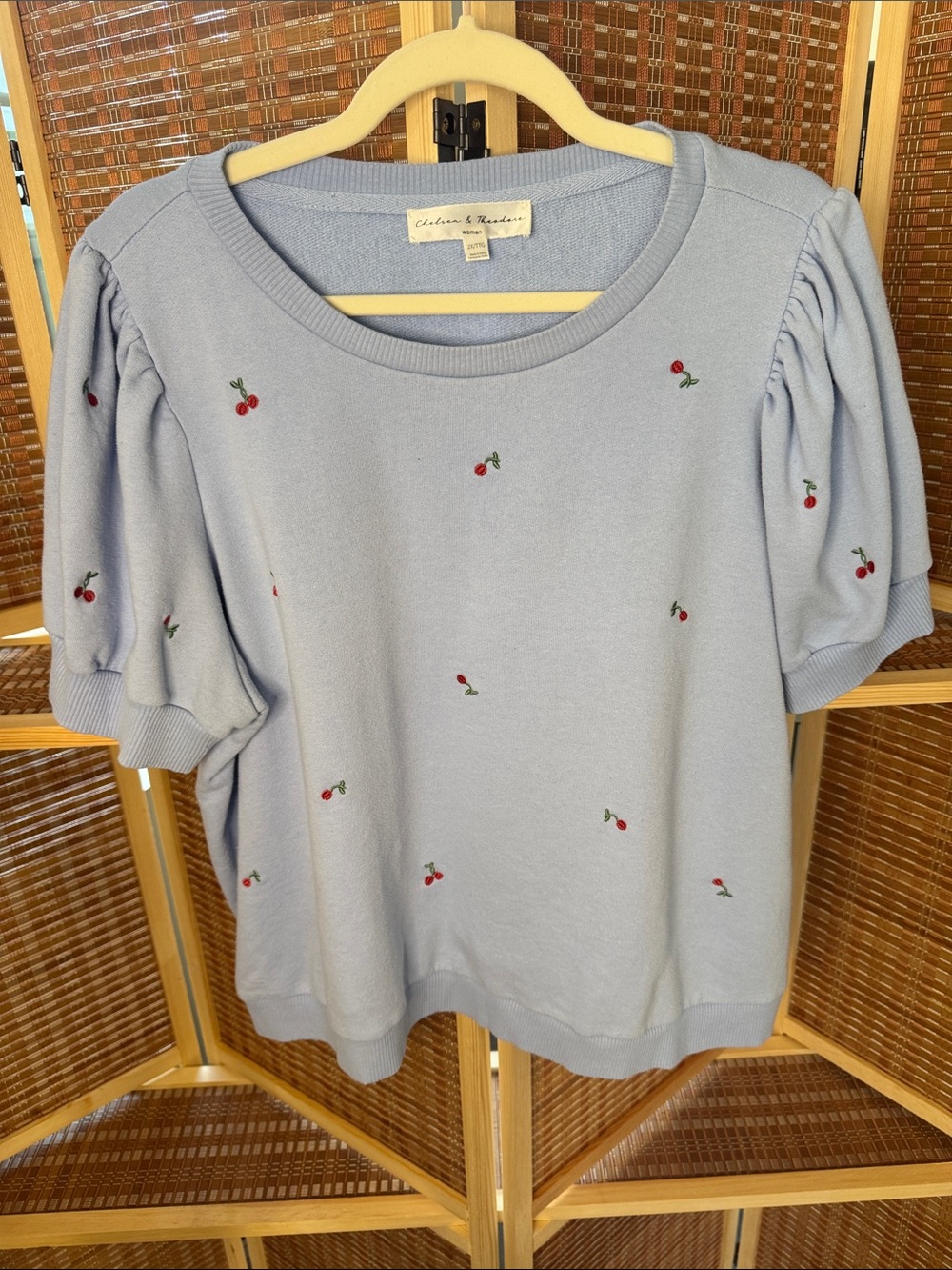 Chelsea & Theodore Light Blue Puff Sleeve Cherry Embroidered Top N0348